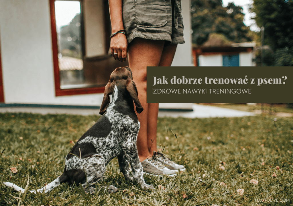Jak dobrze trenować z psem? Zdrowe nawyki&nbsp;treningowe