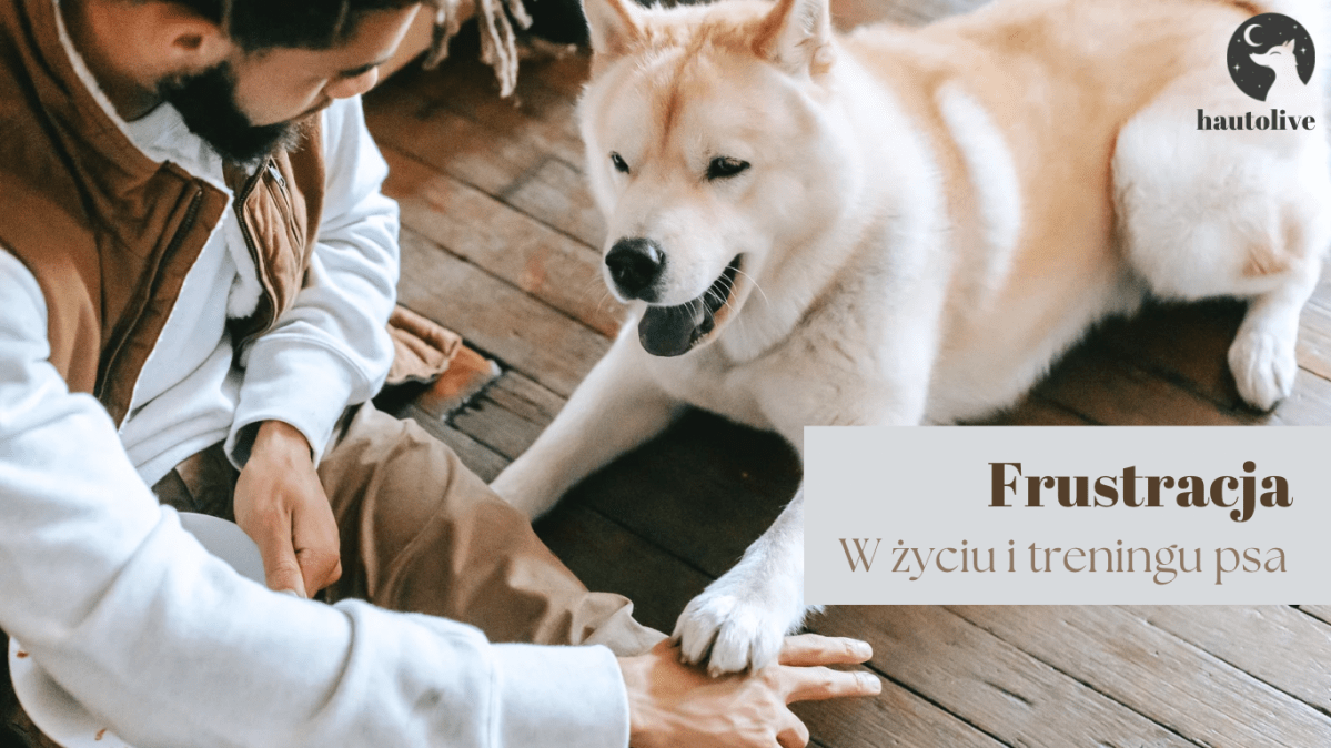 Frustracja w życiu i treningu&nbsp;psa