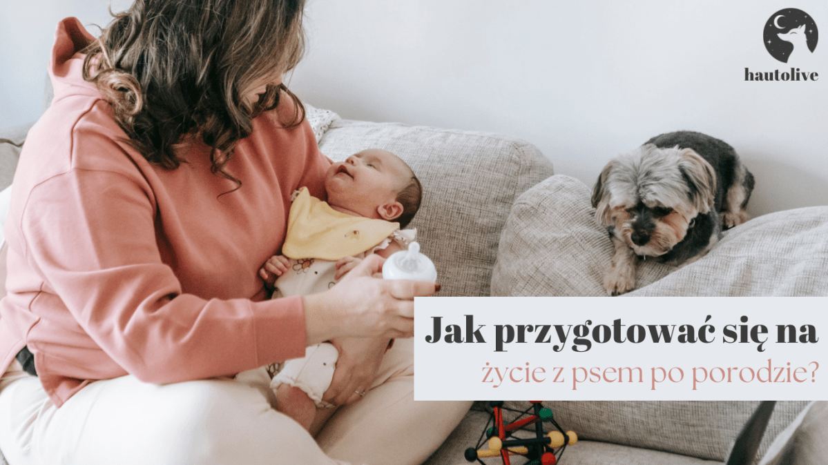 Jak przygotować się na życie z psem po&nbsp;porodzie?