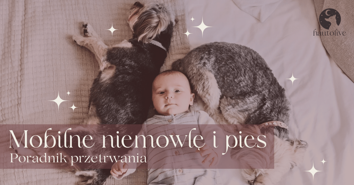 Mobilne niemowlę i pies – Poradnik&nbsp;przetrwania