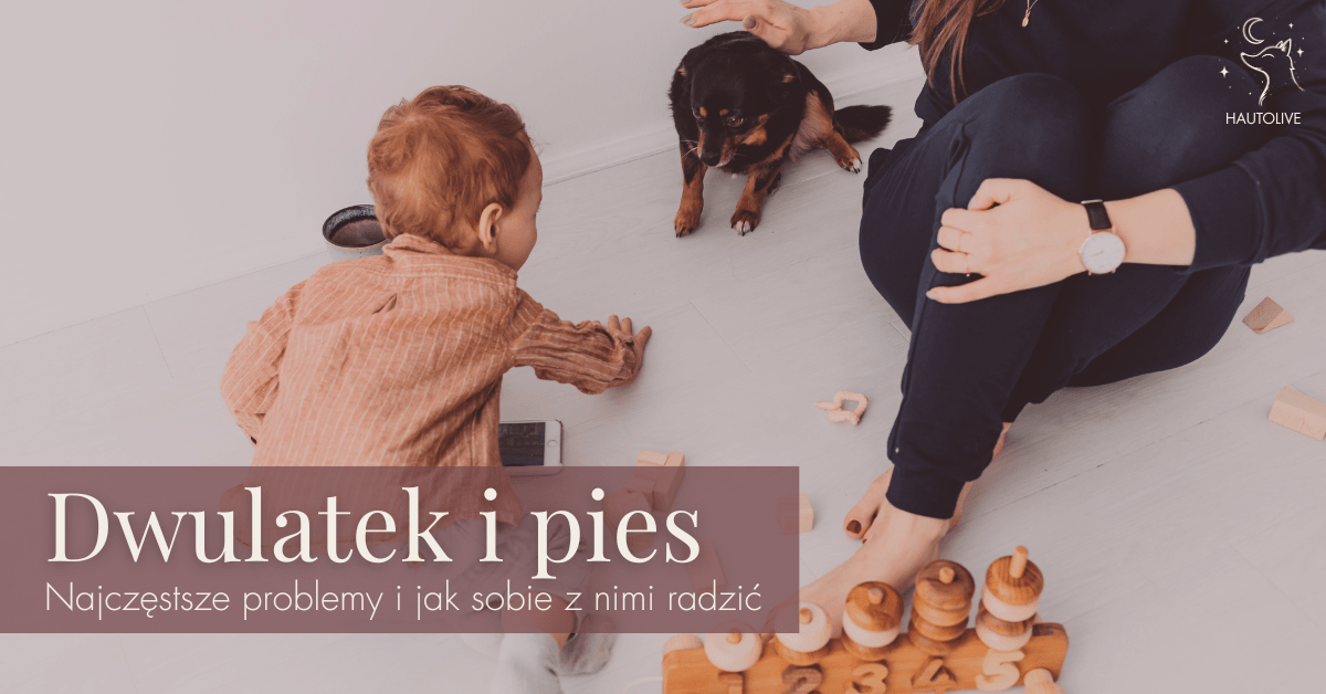 Dwulatek i pies – najczęstsze problemy i jak sobie z nimi&nbsp;radzić